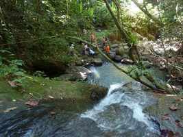 bassin 1 riv deshaies, B terre , cote sous le vent, guadeloupe