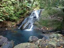 bassin 1 riv deshaies, B terre , cote sous le vent, guadeloupe