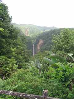 chutes du carbet foret humide écosysteme tropical antilles