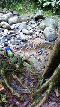 rivière quiock, route mamelles, guadeloupe