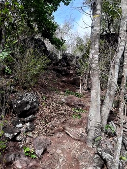 sentier malendure bouillante guadeloupe