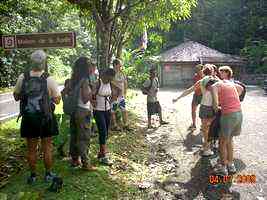 maison de la forêt , Route des mamelles, Guadeloupe