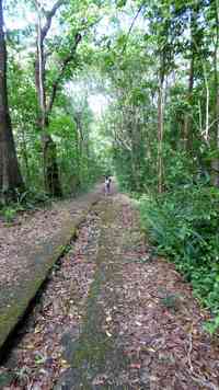 allée ciment, tour houelmont, sud basse terre, guadeloupe