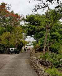 anse à dos, route, terre de bas