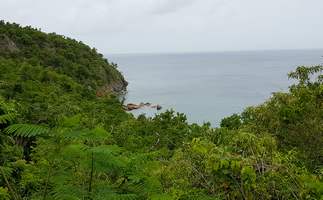 anse à dos, vue, terre de bas