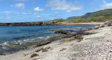 anse baie mahault desirade