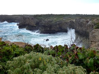 anse belle rose Trace des falaises Anse bertrand Guadeloupe