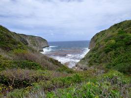 anse bois d inde Marie galante