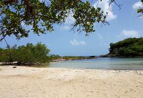 anse colas Port louis grande terre Guadeloupe