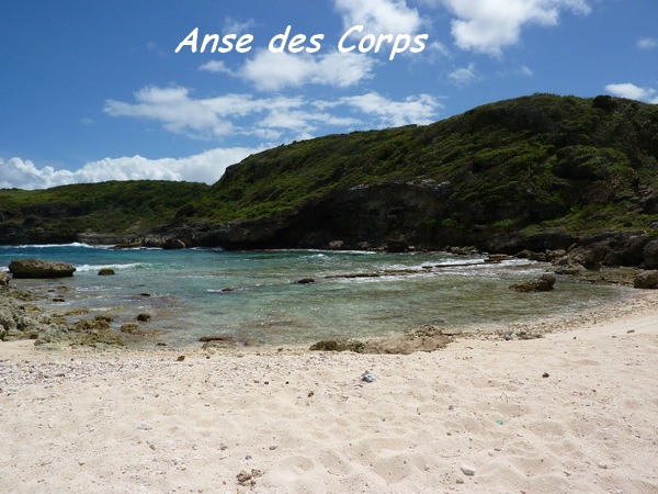 anse corps TGT3 L