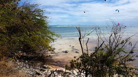 anse dubellay bois jolan grande terre ste anne guadeloupe