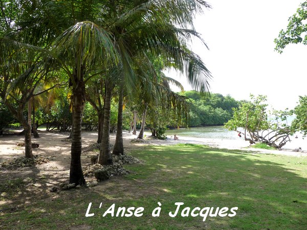 Anse à Jacques, Petit Havre