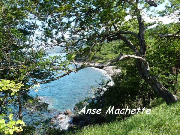 anse machette L