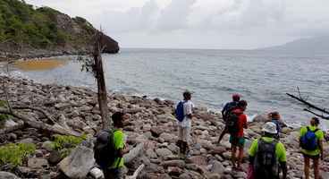 anse pajot , plage, terre de bas