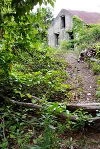 anse pajot habitation terre de bas