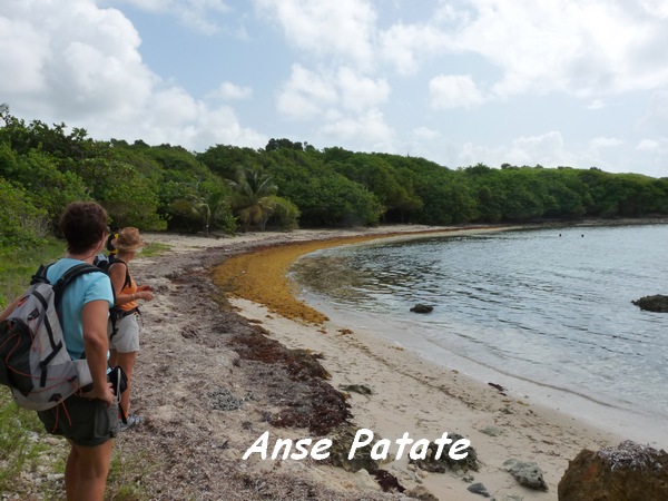 Anse Patate Petit Havre 