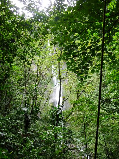 aperçu cascade moreau L