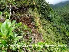 A-pic,Rivière noire, nez cassé, basse terre, guadeloupe