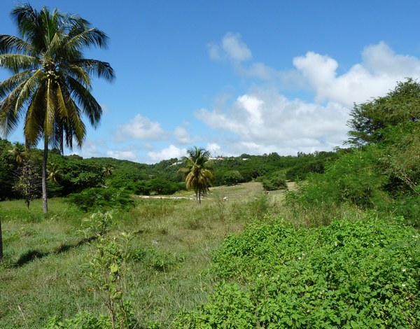 Arrivée à Sainte Anne
