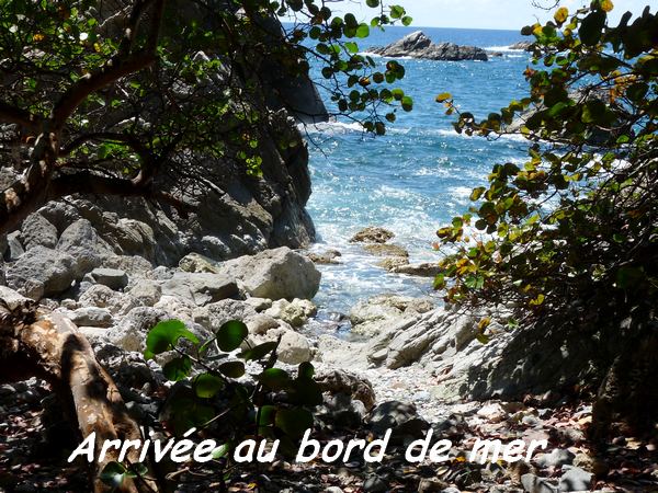 Bord de mer, La rivière, Désirade L