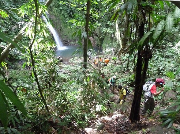 arrivée cascade Bois Banane, Lamentin