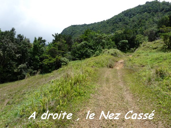 Arrivée de la trace du Nez Cassé, Papaye, Basse terre, Guadeloupe
