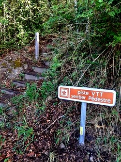 arrivée route rivière sens tour du houelmont guadeloupe