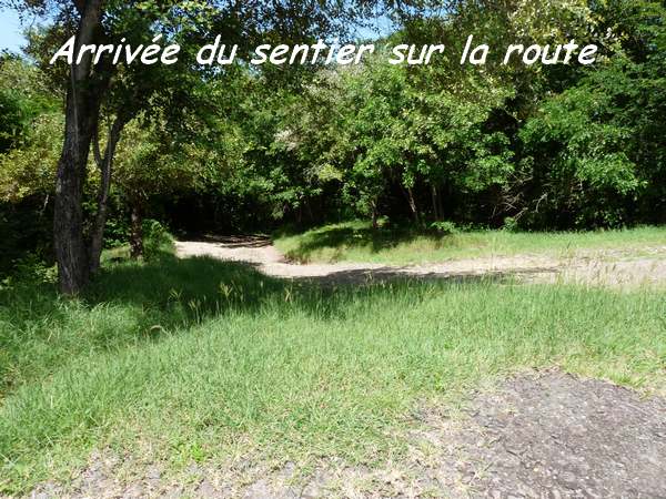 arrivée sentier Pte lézard L