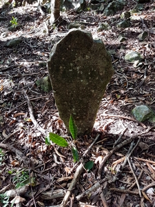 roche au col Tillet guadeloupe