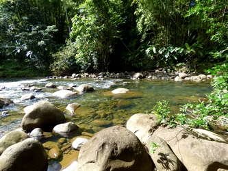 au confluent , rivière bras david riviere crossol , petit bourg , guadeloupe