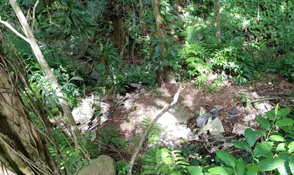 au fond du ravin La stele