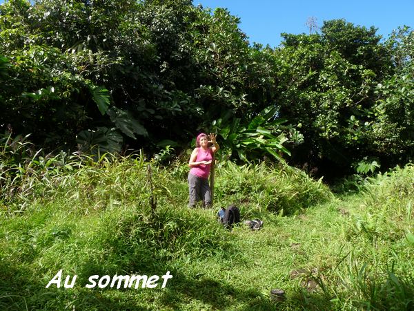 au sommet, tete allègre, basse terre nord, guadeloupe