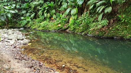 bassin 2 bras de fort Goyave Guadeloupe