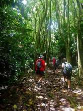 balade, cascade fontaine, capesterre, basse terre, guadeloupe, antilles