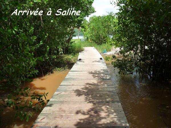 st felix arrivée saline L