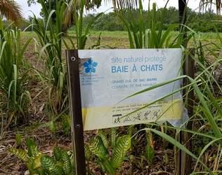 baie a chats, birmingham, bmao, guadeloupe