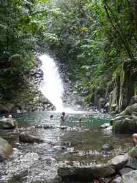 baignade grivelière