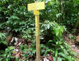 balisage, ravine tonton, rivière vx habitants, cote sous le vent, guadeloupe