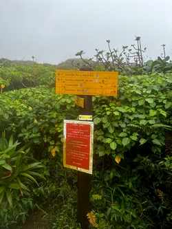 balisage Carmichael soufrière Guadeloupe