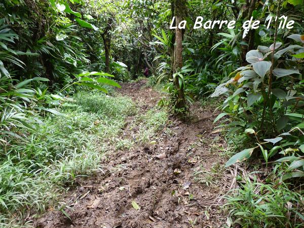 barre de l`ile, B Argent L