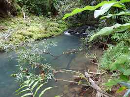 bassin ravine gras, petit bourg