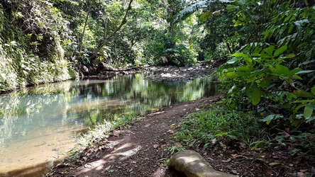 bassin1 bras de fort goyave Guadeloupe