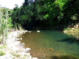 bassin fin de balade Bras david Guadeloupe