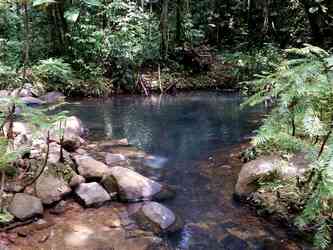 bassin 1e bras tambour petiti bourg guadeloupe