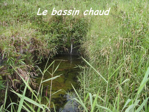 Bains chauds du Matouba, Papaye, basse terre sud, guadeloupe