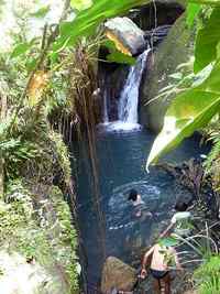 bassin riv deshaies, B terre , cote sous le vent, guadeloupe