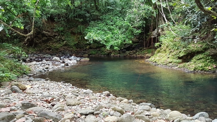 bassin la rose Guadeloupe