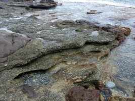 beach rocks, trace grand nord , desirade , guadeloupe