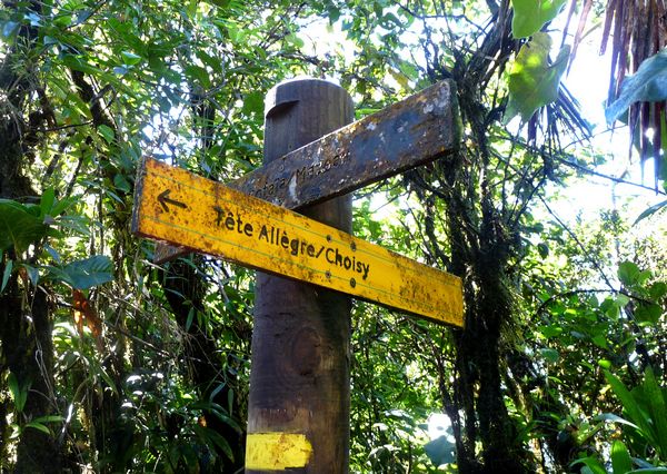 bifurcation, choisy tete allegre, basse terre nord, guadeloupe