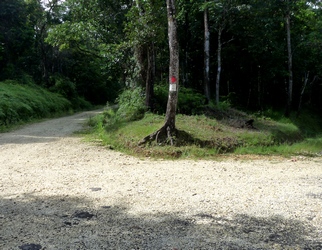 bifurcation colo canyon moustique P Bourg guadeloupe